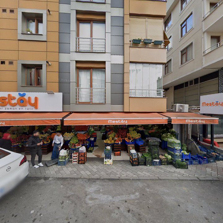 Fotoğraf 11