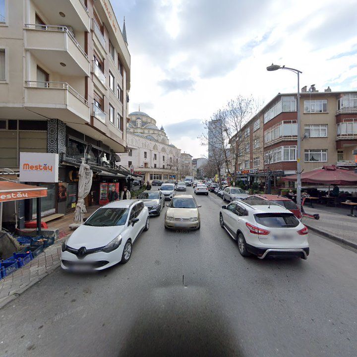 Fotoğraf 12