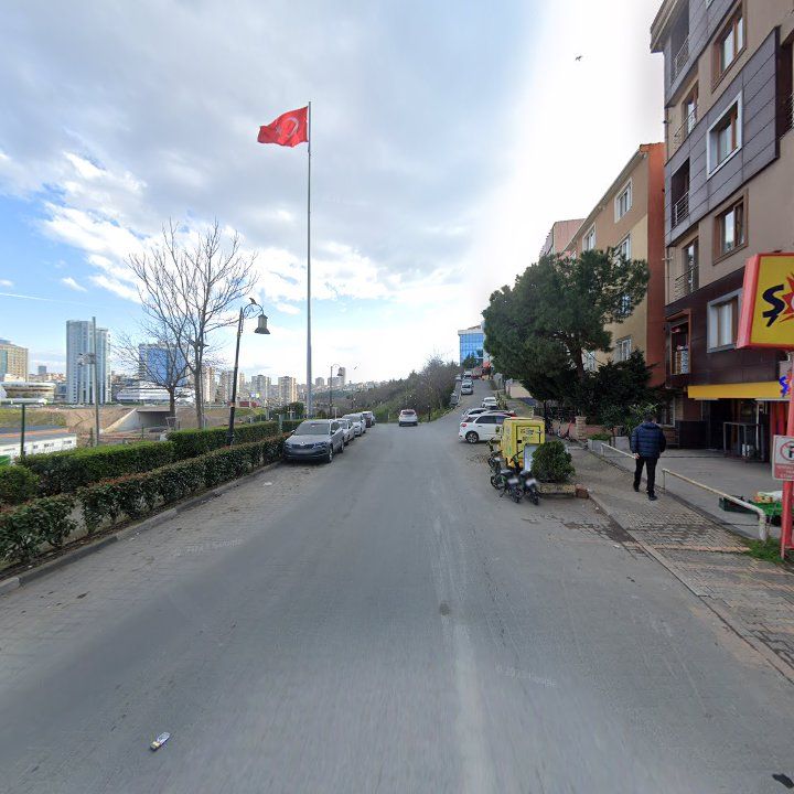 Fotoğraf 12