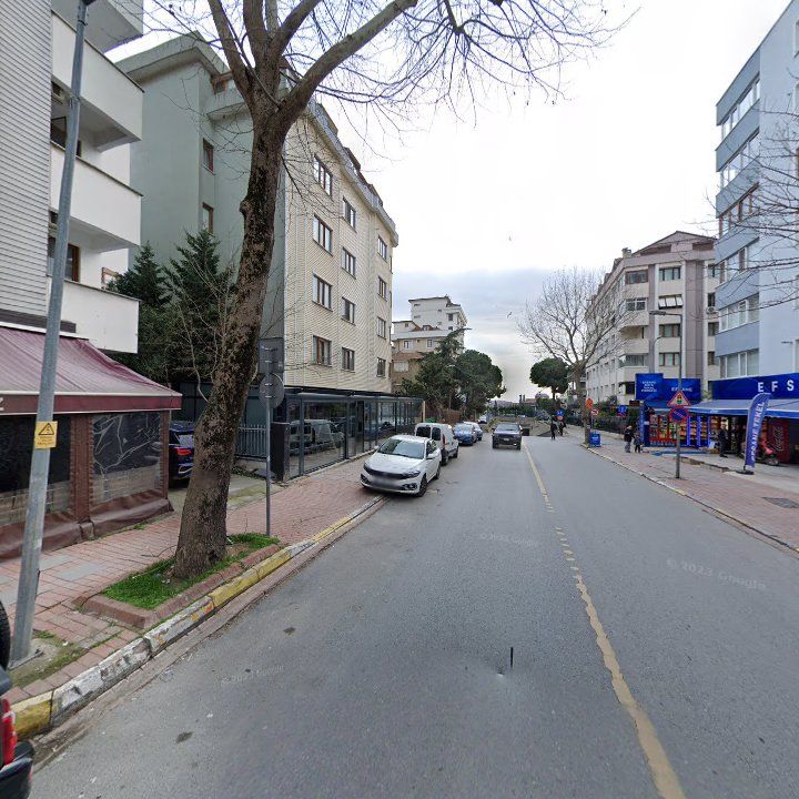 Fotoğraf 12