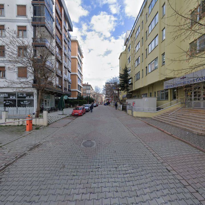Fotoğraf 8