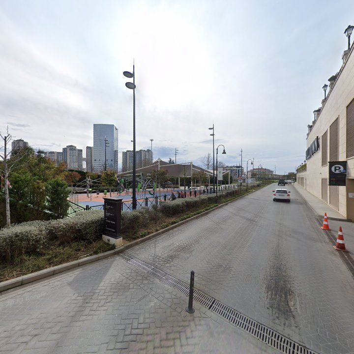 Fotoğraf 10