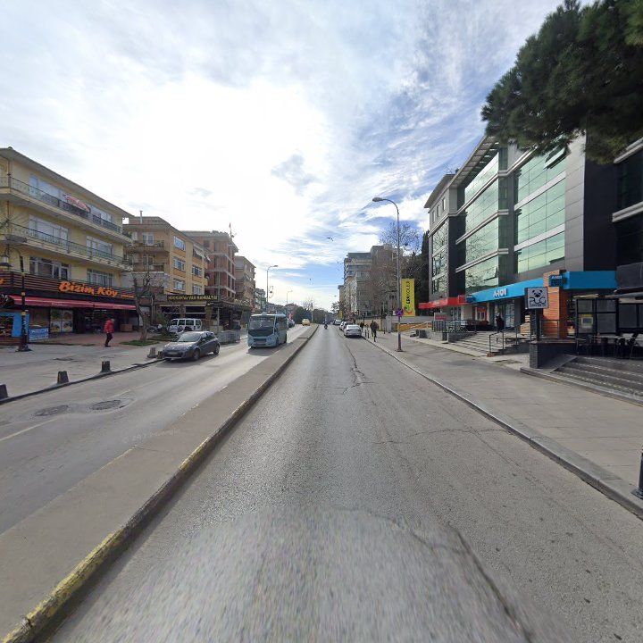 Fotoğraf 10