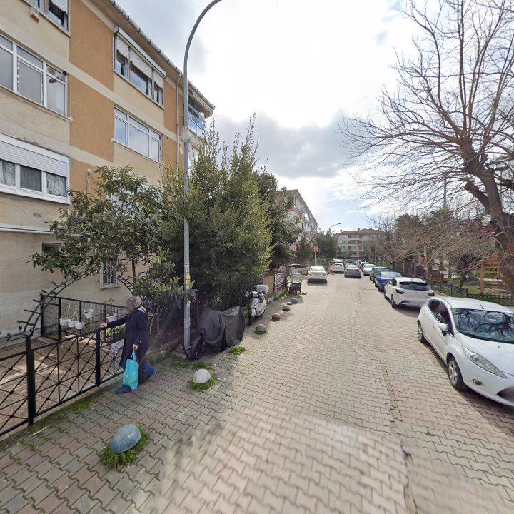 Fotoğraf 8