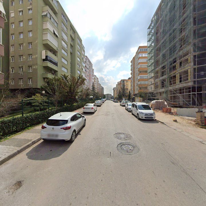 Fotoğraf 11