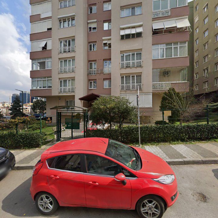Fotoğraf 10