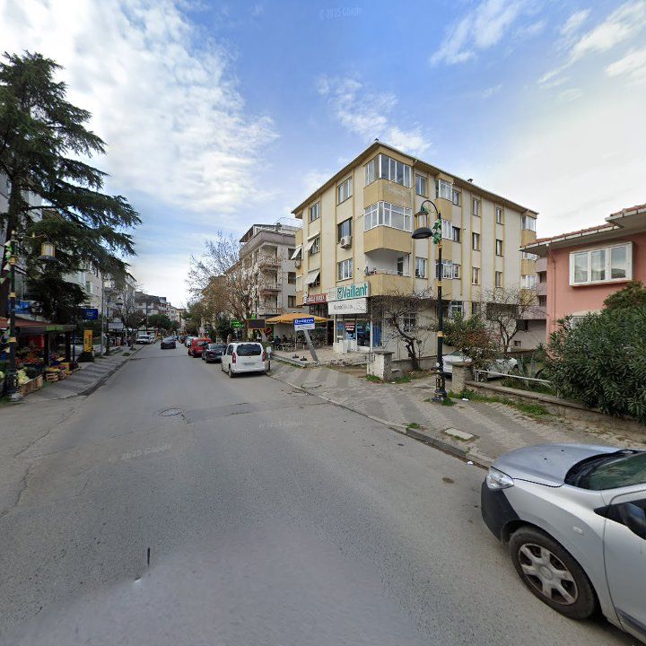 Fotoğraf 11