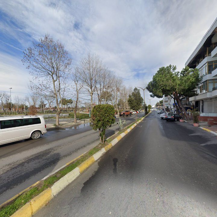 Fotoğraf 12
