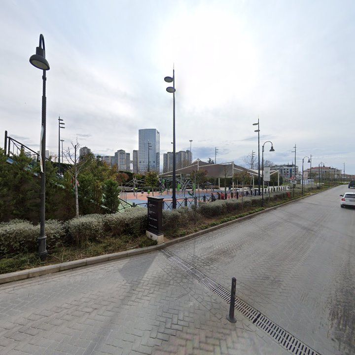 Fotoğraf 15