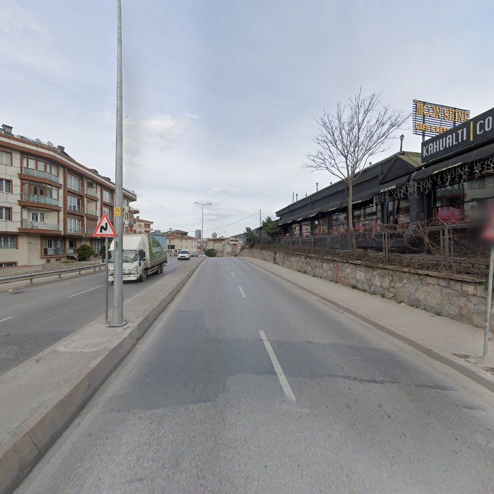 Fotoğraf 11