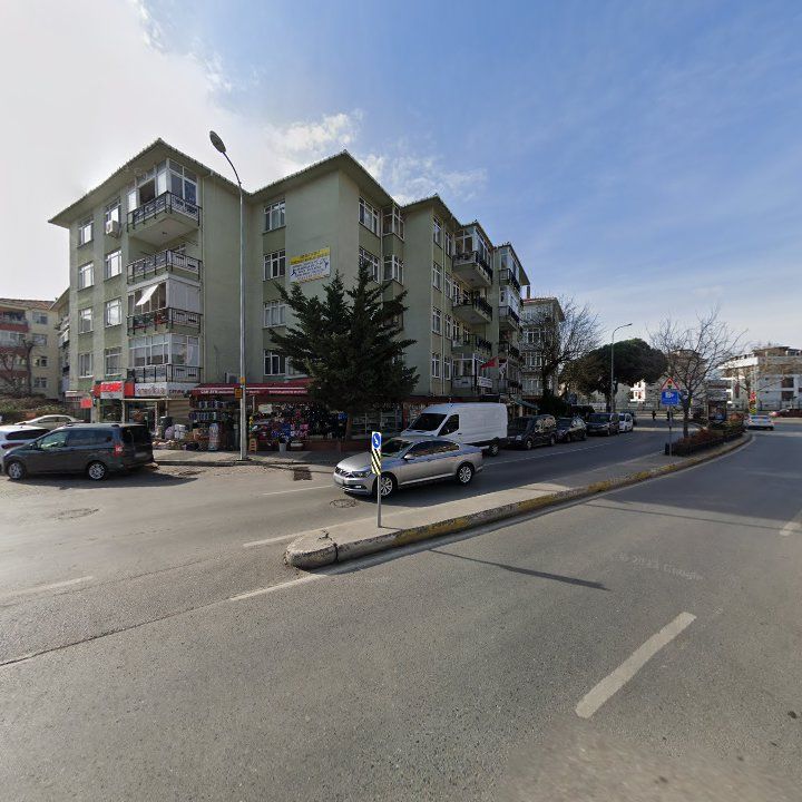 Fotoğraf 15