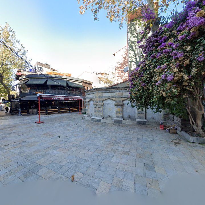 Fotoğraf 8