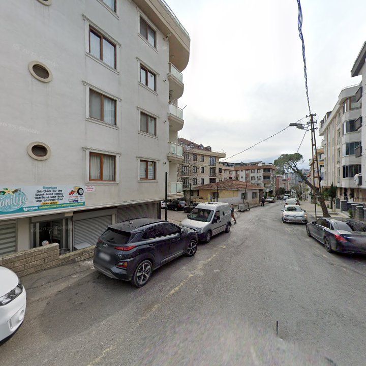 Fotoğraf 7