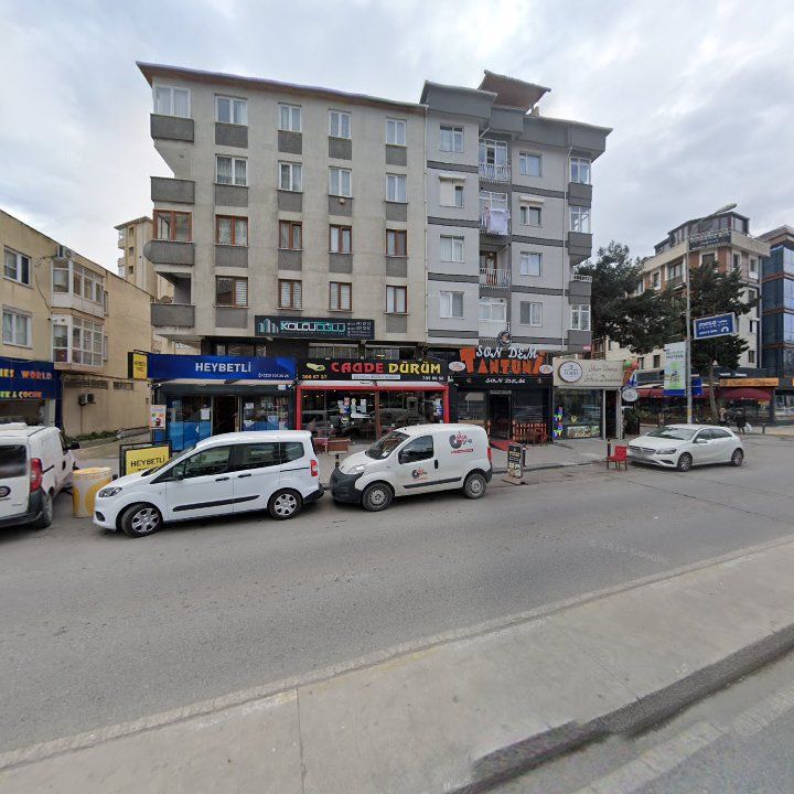 Fotoğraf 13
