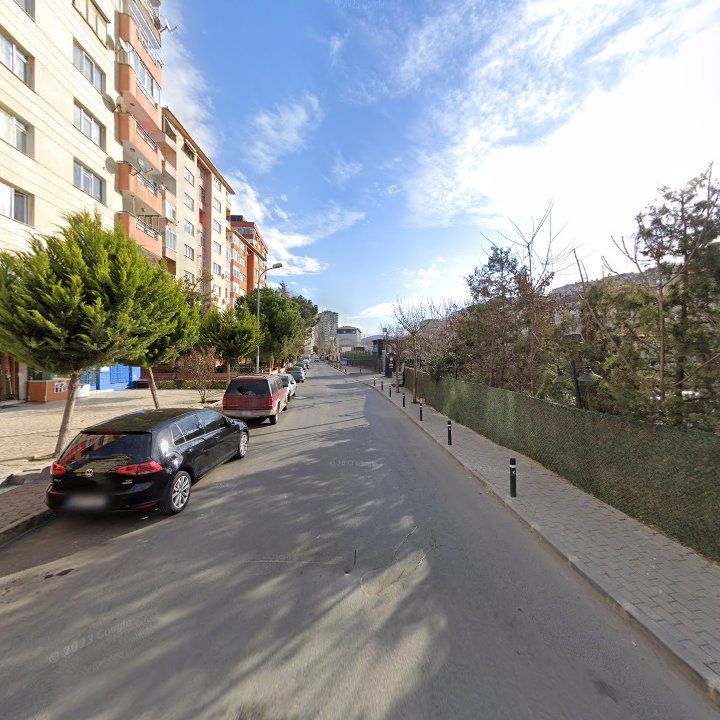 Fotoğraf 10