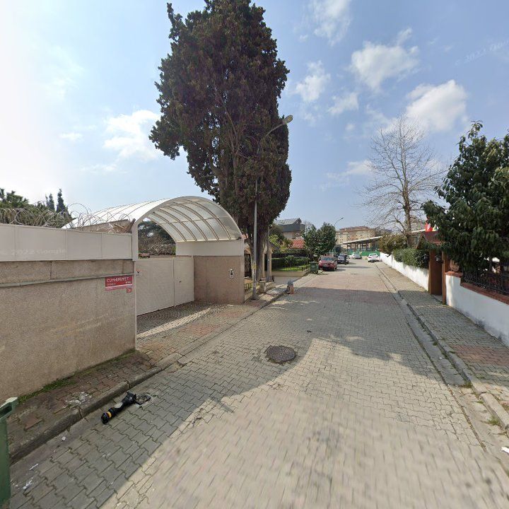Fotoğraf 10
