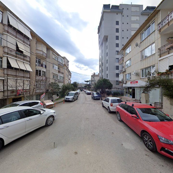 Fotoğraf 8
