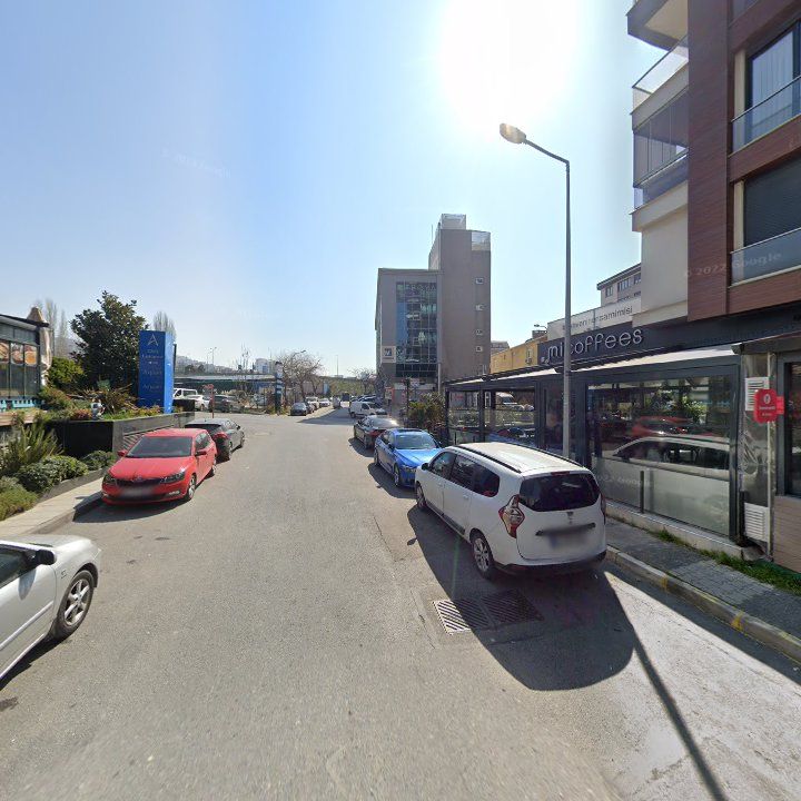 Fotoğraf 12