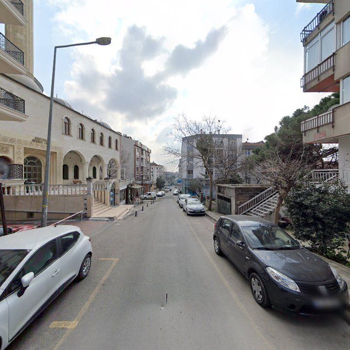 Fotoğraf 7