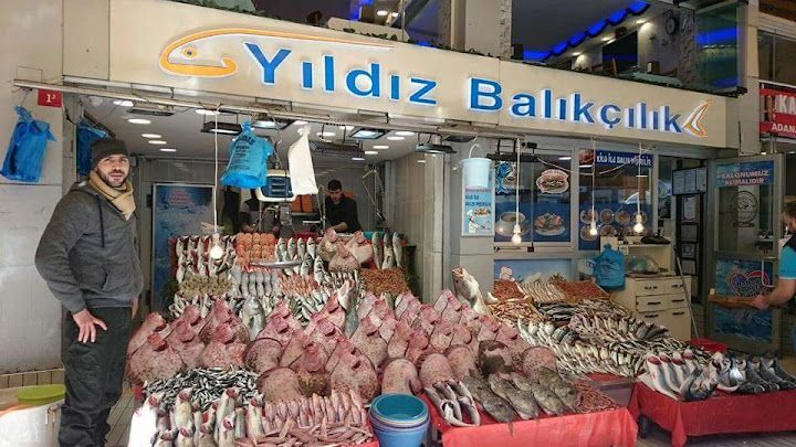 Yıldız Balıkçılık