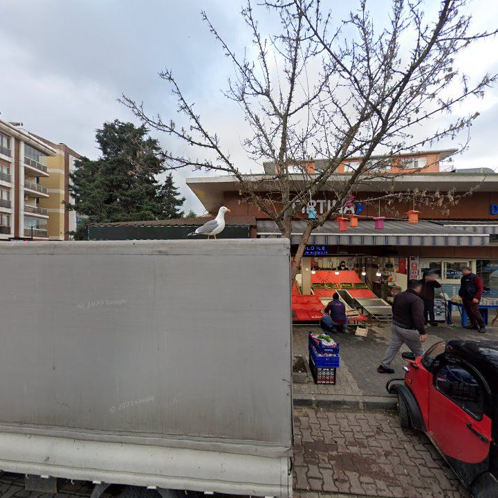 Fotoğraf 8
