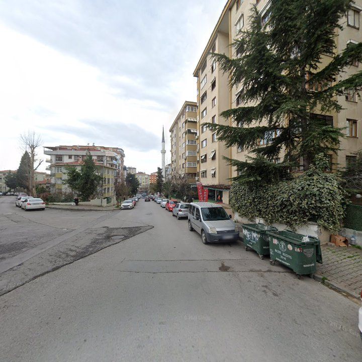Fotoğraf 8