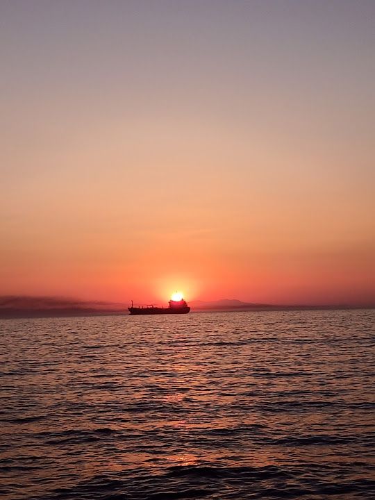 Fotoğraf 18