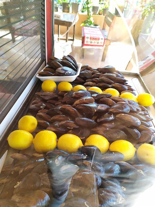 Fotoğraf 12