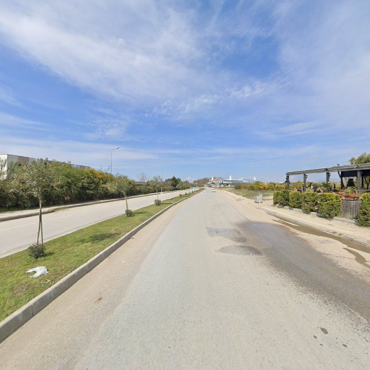 Fotoğraf 10