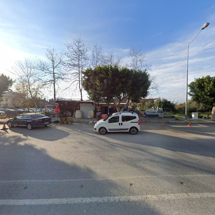 Fotoğraf 12