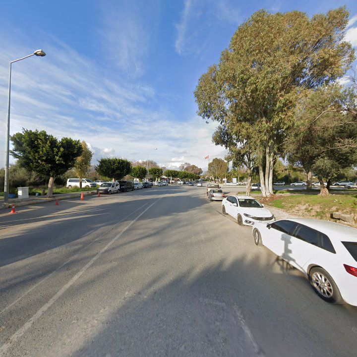 Fotoğraf 13