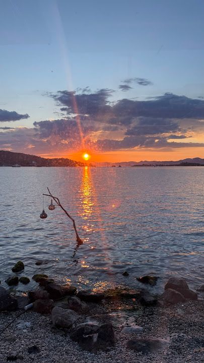 Fotoğraf 33