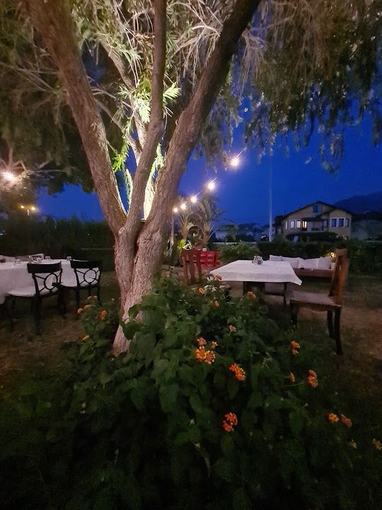 Fotoğraf 19