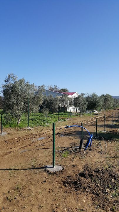 Yorum fotoğrafı 4