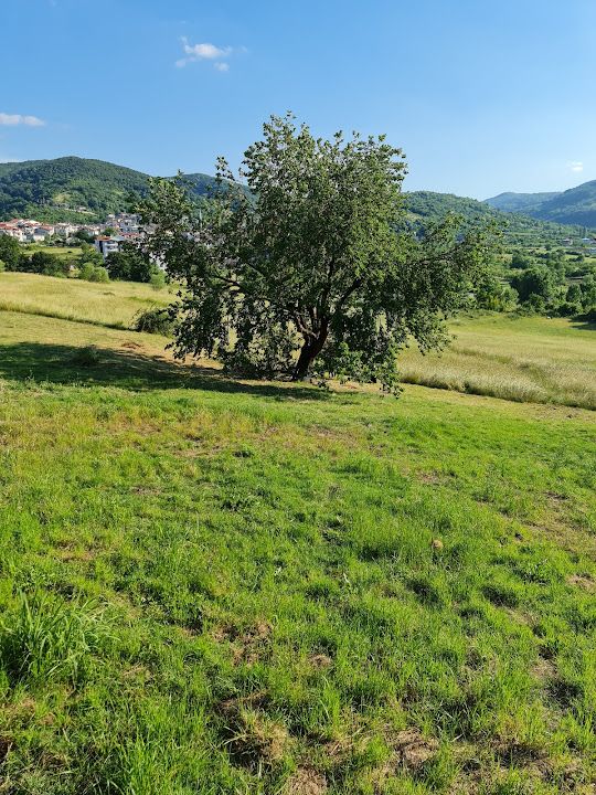Yorum fotoğrafı 4