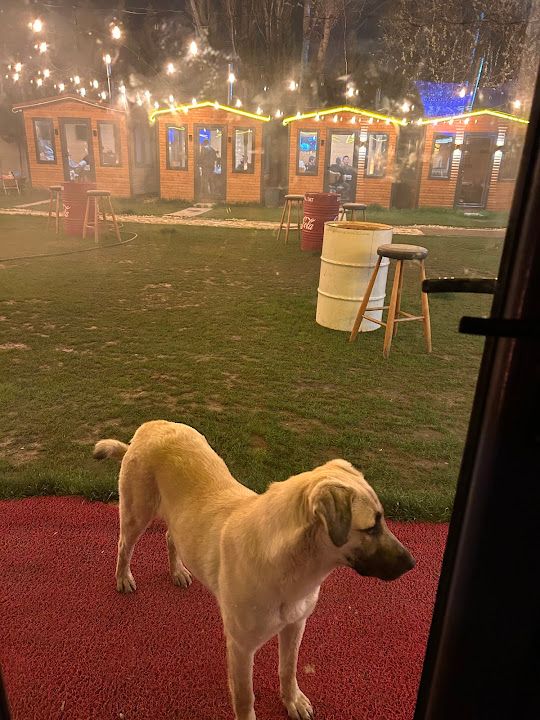 Yorum fotoğrafı 4