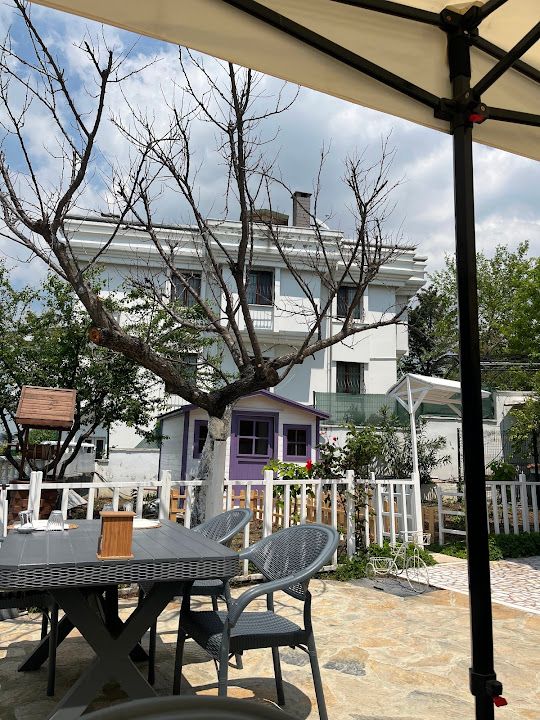Fotoğraf 38