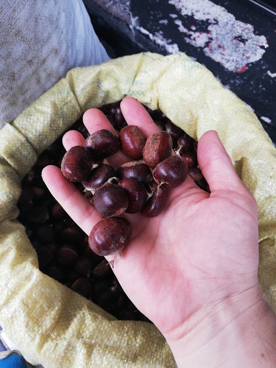 Fotoğraf 19