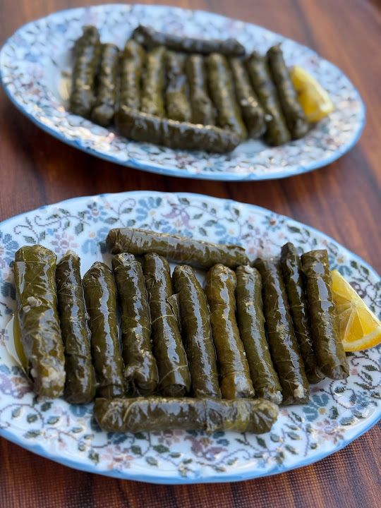 Fotoğraf 43