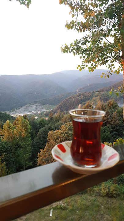 Fotoğraf 36