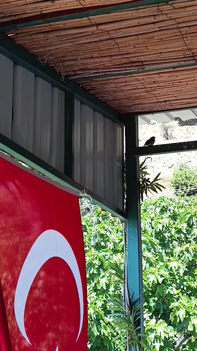 Fotoğraf 17