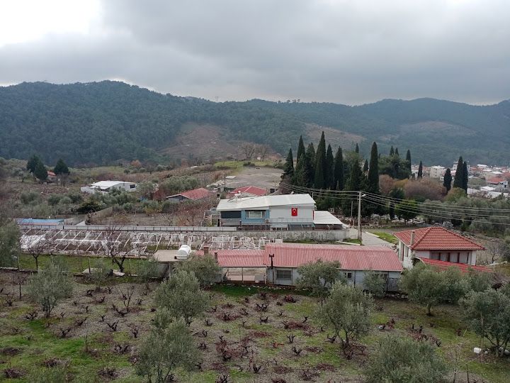 Yorum fotoğrafı 3