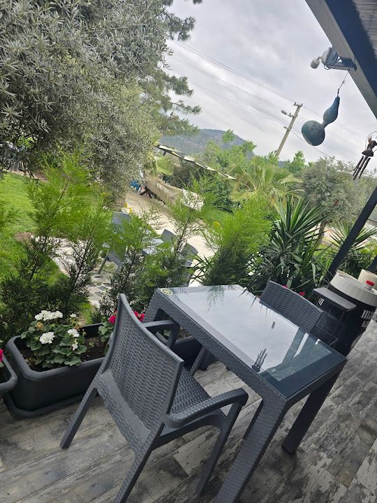 Fotoğraf 34