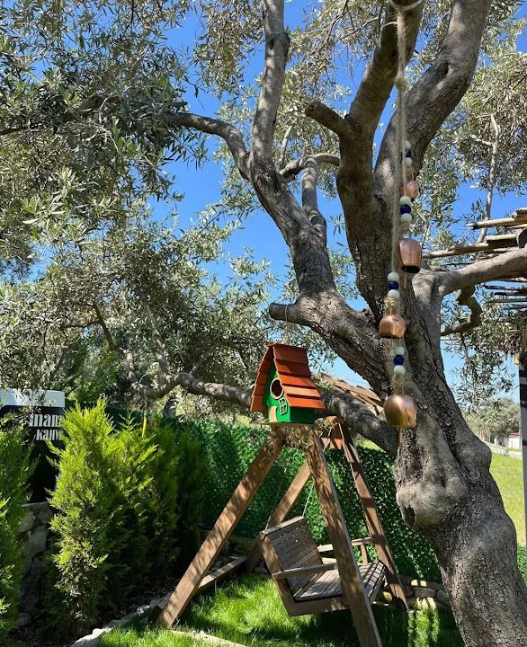 Fotoğraf 33