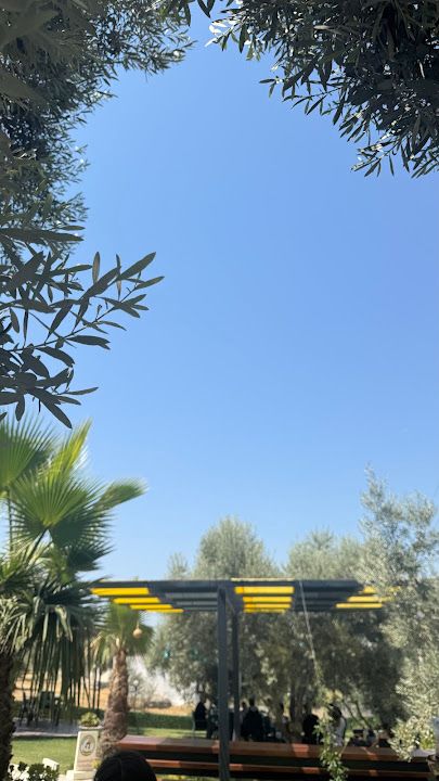 Fotoğraf 39