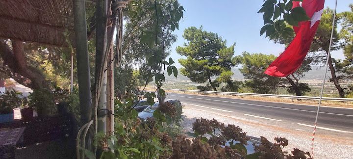Yorum fotoğrafı 3