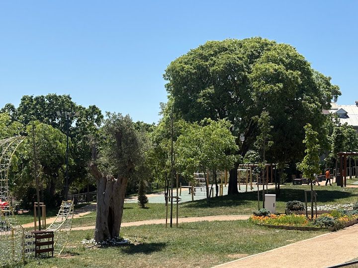 Fotoğraf 27