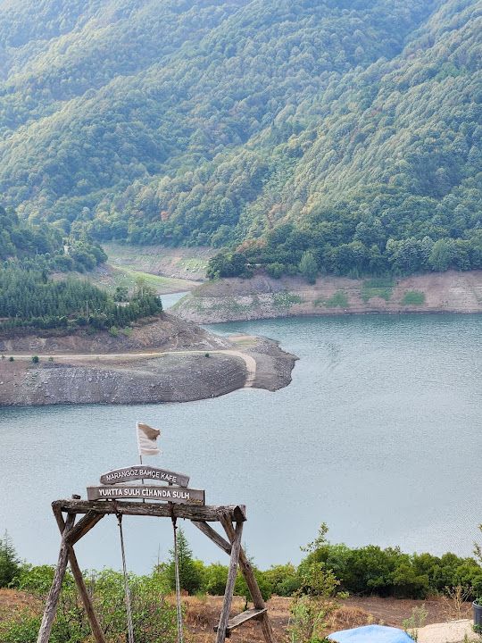 Fotoğraf 70