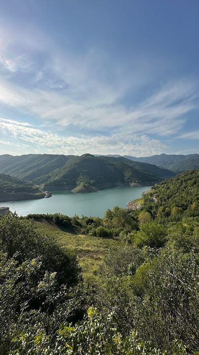 Fotoğraf 66
