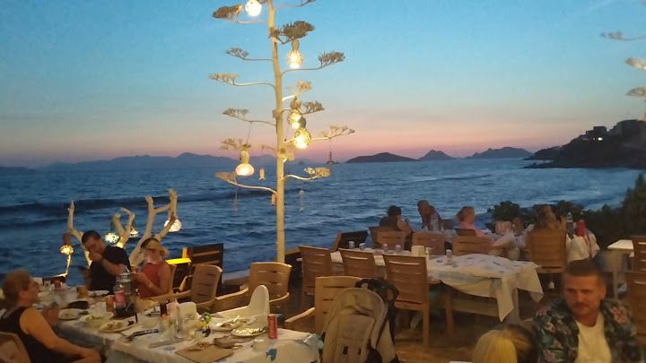Fotoğraf 33